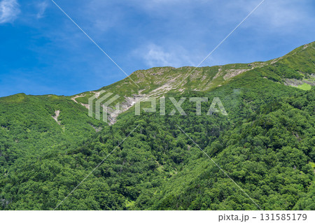 聖沢ルート登山道の乗越から見上げる聖岳（前聖岳）　南アルプス聖岳登山 131585179