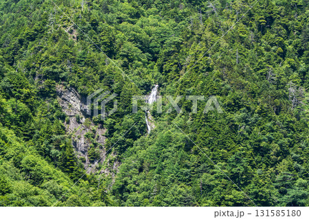 聖沢ルート登山道の乗越から見る聖沢大滝　南アルプス聖岳登山 131585180