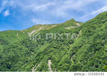 聖沢ルート登山道の乗越から見上げる聖岳（前聖岳と奥聖岳）　南アルプス聖岳登山 131585181