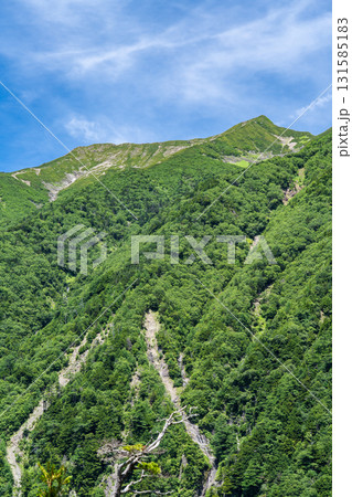 聖沢ルート登山道の乗越から見上げる聖岳（前聖岳と奥聖岳）　南アルプス聖岳登山 131585183