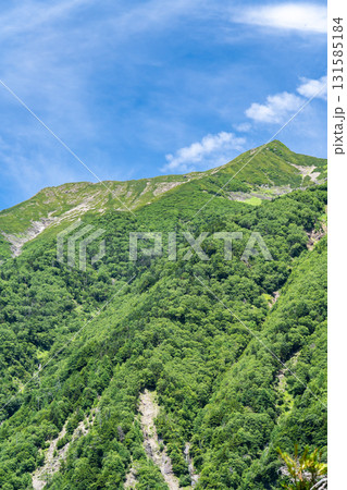 聖沢ルート登山道の乗越から見上げる聖岳（前聖岳と奥聖岳）　南アルプス聖岳登山 131585184