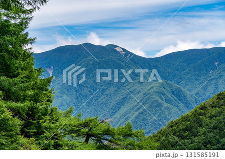 聖沢ルート登山道から見る偃松尾山（はいまつおやま）　南アルプス聖岳登山 131585191