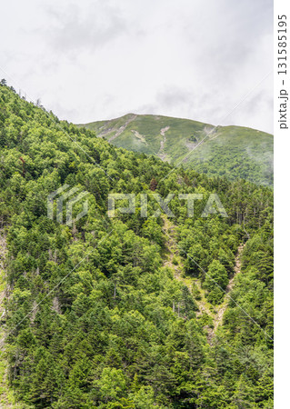 聖沢ルート登山道から見る聖岳（奥聖岳）　南アルプス聖岳登山 131585195