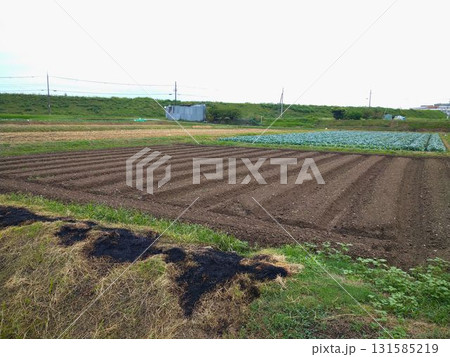 あぜ道を野焼きした 131585219