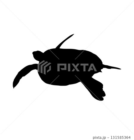 Vector flat turtle silhouette  131585364