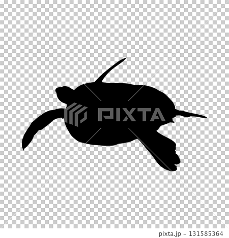 Vector flat turtle silhouette  131585364