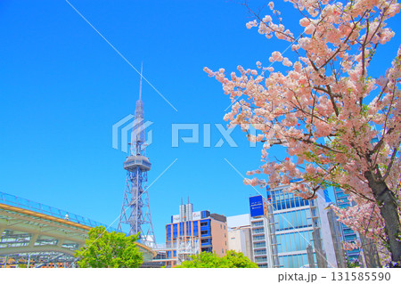 愛知県名古屋市、名古屋テレビ塔と桜の風景 131585590