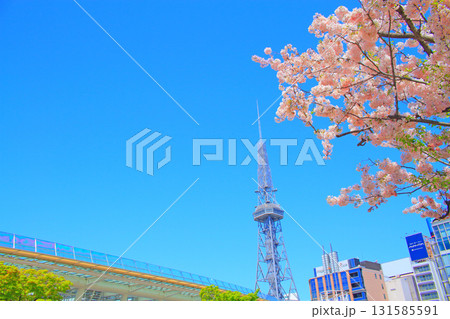 愛知県名古屋市、名古屋テレビ塔と桜の風景 131585591