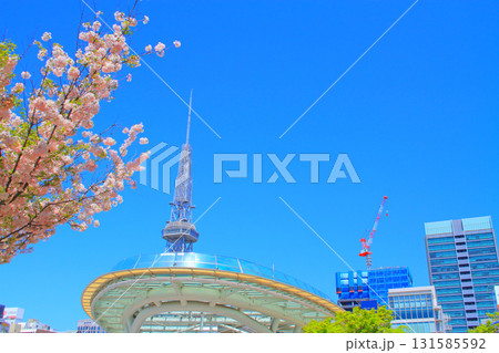 愛知県名古屋市、名古屋テレビ塔と桜の風景 131585592