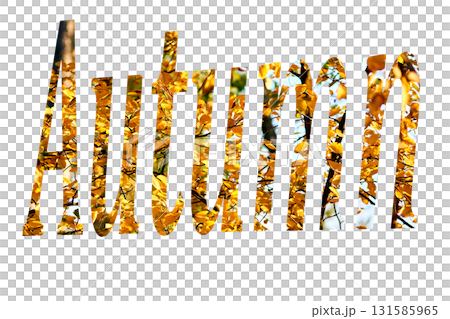Bright leafy inscription Autumn on a yellow background Bright leafy inscription Autumn on a yellow background 131585965