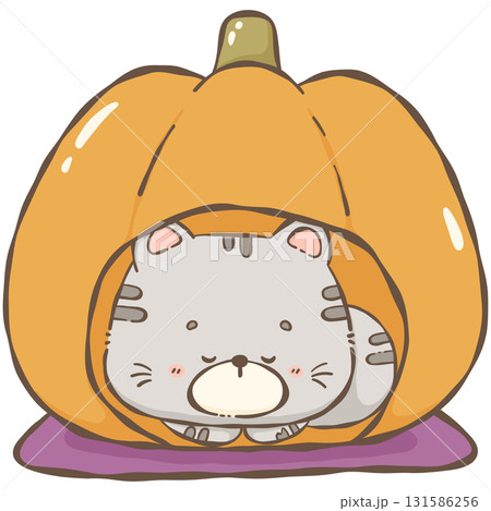 Halloween  131586256