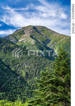 聖平から見上げる聖岳（前聖岳）　南アルプス聖岳登山 131586662
