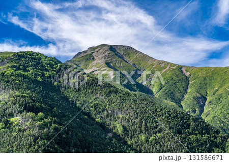 聖平から見上げる聖岳(前聖岳)と小聖岳 南アルプス聖岳登山 聖平から見上げる聖岳(前聖岳)と小聖岳 南アルプス聖岳登山 131586671