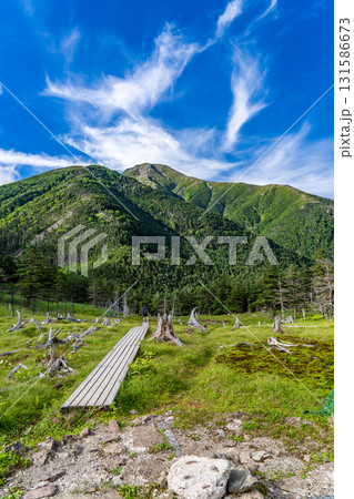 聖平から見上げる聖岳（前聖岳）と小聖岳　南アルプス聖岳登山 131586673