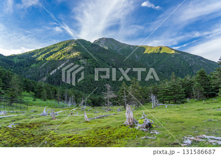 聖平から見上げる聖岳(前聖岳)と小聖岳 南アルプス聖岳登山 聖平から見上げる聖岳(前聖岳)と小聖岳 南アルプス聖岳登山 131586687