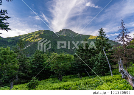 聖平から見上げる聖岳(前聖岳)と小聖岳 南アルプス聖岳登山 聖平から見上げる聖岳(前聖岳)と小聖岳 南アルプス聖岳登山 131586695
