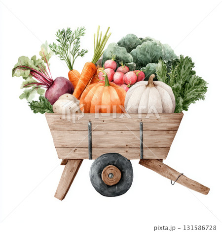 Watercolor farm harvest features wooden wheelbarrow filled with fresh vegetables including pumpkin carrot radish beetroot cabbage and leafy greens on white background Watercolor farm harvest features wooden wheelbarrow filled with fresh vegetables including pumpkin carrot radish beetroot cabbage and leafy greens on white background 131586728