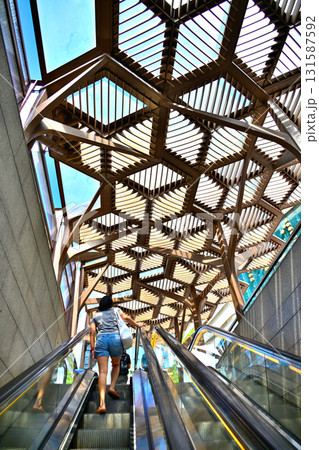 エスカレーターで昇る後ろ姿の女性 131587592