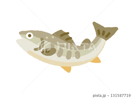 イワナ イワナ 131587719