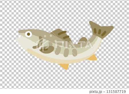 イワナ イワナ 131587719