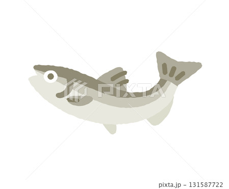 ワカサギ 131587722