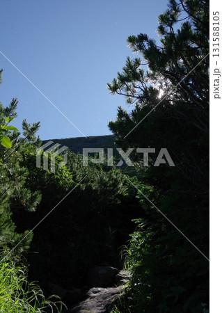 御嶽山濁河温泉ルートの森林限界 131588105