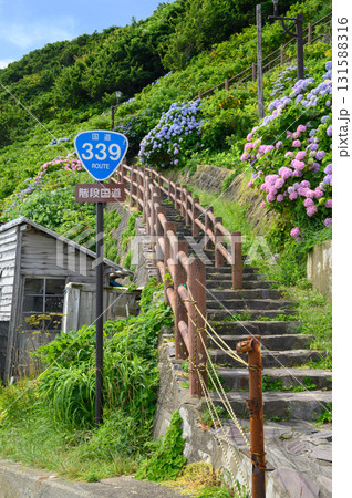 満開の紫陽花と階段国道 131588316