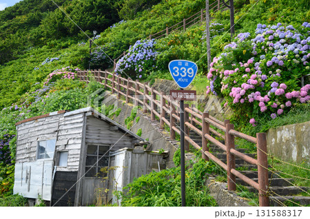 満開の紫陽花と階段国道 131588317