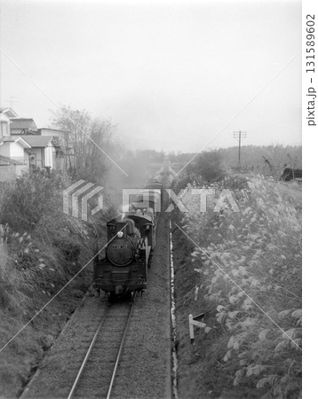 秋のススキ群をゆく 秋のススキ群をゆく 131589602