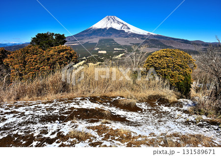 愛鷹連峰の越前岳 馬ノ背見晴台から望む富士山 愛鷹連峰の越前岳 馬ノ背見晴台から望む富士山 131589671