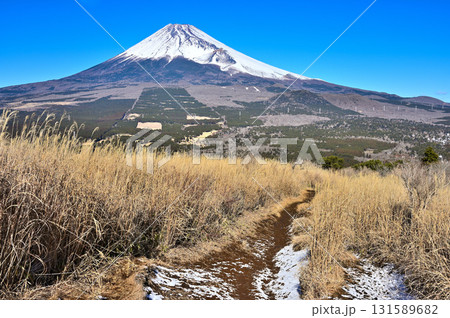 愛鷹連峰の越前岳から 雪の残るカヤトの登山道と富士山 愛鷹連峰の越前岳から 雪の残るカヤトの登山道と富士山 131589682