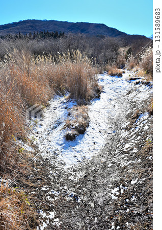 愛鷹連峰の越前岳 馬ノ背付近の雪の残るカヤトの登山道と越前岳 愛鷹連峰の越前岳 馬ノ背付近の雪の残るカヤトの登山道と越前岳 131589683