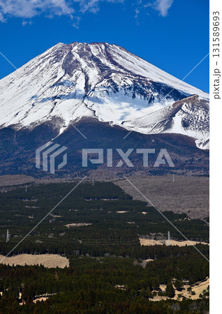 愛鷹連峰の越前岳　十里木高原展望台から望む富士山と宝永火口 131589693