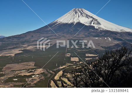 愛鷹山塊の越前岳より望む雪稜の富士山 131589841