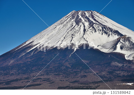 愛鷹山塊の越前岳より望む雪稜の富士山 愛鷹山塊の越前岳より望む雪稜の富士山 131589842
