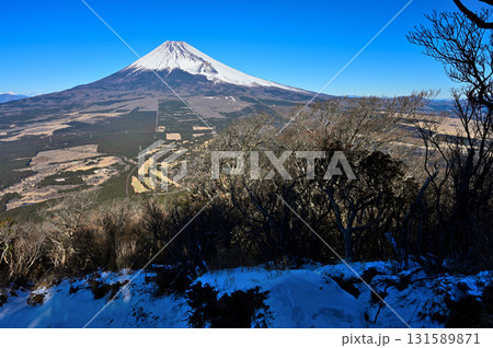 愛鷹連峰　雪化粧の越前岳より望む富士山 131589871