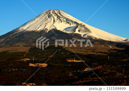 愛鷹山塊の越前岳より 十里木高原展望台から望む朝日を浴びる雪の富士山と宝永火口 愛鷹山塊の越前岳より 十里木高原展望台から望む朝日を浴びる雪の富士山と宝永火口 131589999