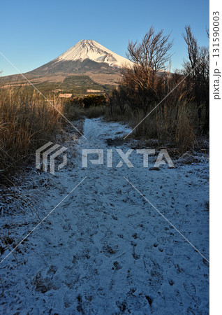 愛鷹山塊の越前岳へ登る雪道より望む朝の富士山 131590003