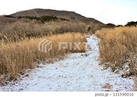 愛鷹山塊の越前岳へ登る道 馬ノ背付近の雪道より望む 愛鷹山塊の越前岳へ登る道 馬ノ背付近の雪道より望む 131590010
