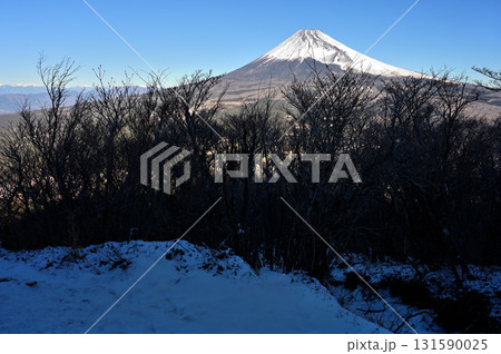 愛鷹山塊の越前岳　真冬の平坦地から望む富士山 131590025
