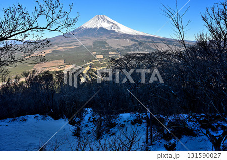 愛鷹山塊の越前岳　真冬の平坦地から望む富士山 131590027
