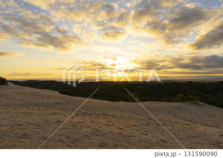 Beautiful landscape of Big Drift Sand Dune in Wilsons Promontory, Australia. 131590090