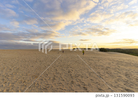 Beautiful landscape of Big Drift Sand Dune in Wilsons Promontory, Australia. 131590093