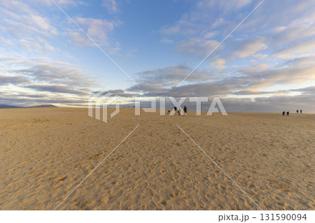 Beautiful landscape of Big Drift Sand Dune in Wilsons Promontory, Australia. 131590094
