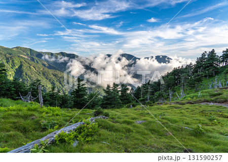 聖平から見る南側の景色(上河内岳、茶臼岳、光岳、加加森山)南アルプス聖岳登山 聖平から見る南側の景色(上河内岳、茶臼岳、光岳、加加森山)南アルプス聖岳登山 131590257