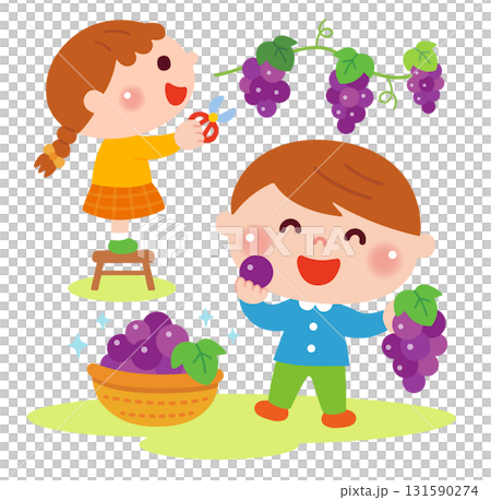 Illustration of children picking grapes 131590274