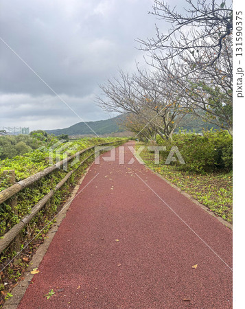曇り空の散歩道 曇り空の散歩道 131590375