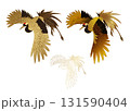 翼を広げて飛ぶ鶴 131590404