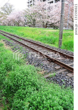 雨上がりの桜咲く流山線沿線風景 131590821
