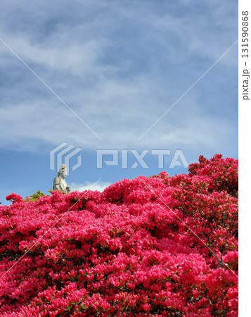 真っ赤な満開のツツジと青空と観音様-縦 131590868